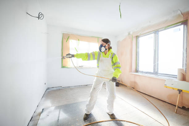 Mold Removal for HVAC Installations in Montebello, CA
