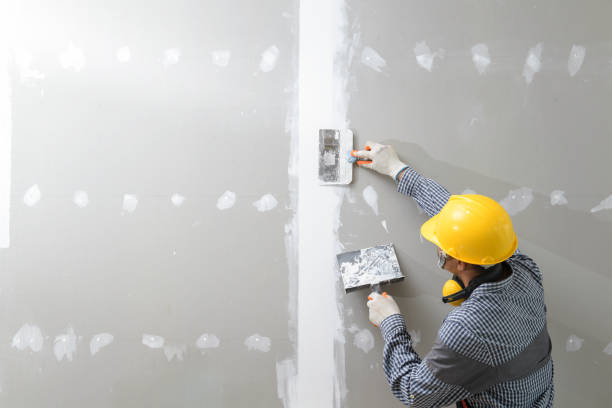 Best Industrial Mold Remediation  in Montebello, CA