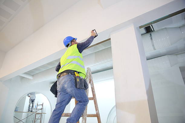 Reliable Montebello, CA Mold Removal Solutions